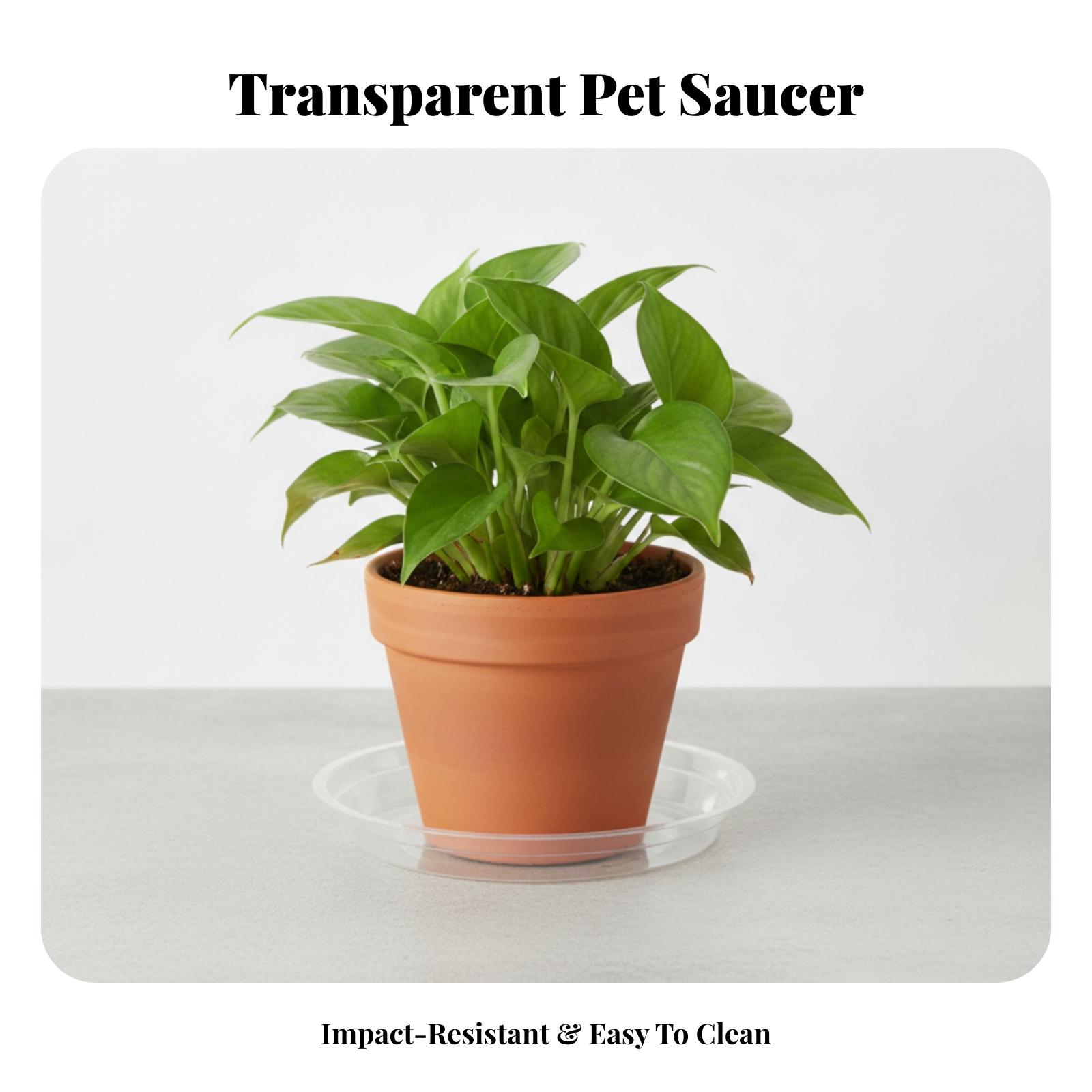 Yuvarlak Şeffaf PET Plastik Sa - Drip Tray Saucer incelemesi ve fiyatı